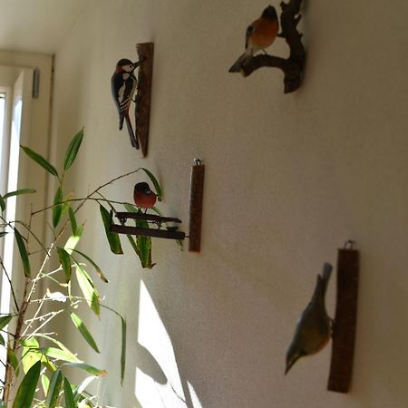 B&B Convivium Stazzema Εξωτερικό φωτογραφία